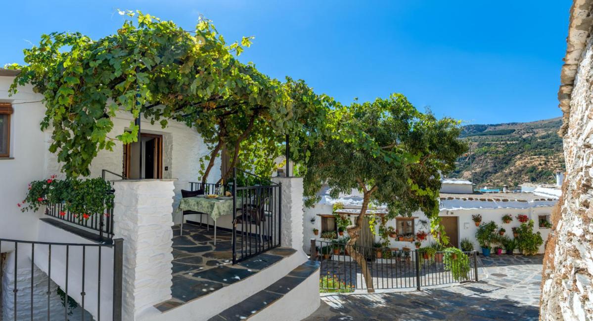 Ferienwohnung Casa Antonia Capileira La Alpujarra Exterior foto