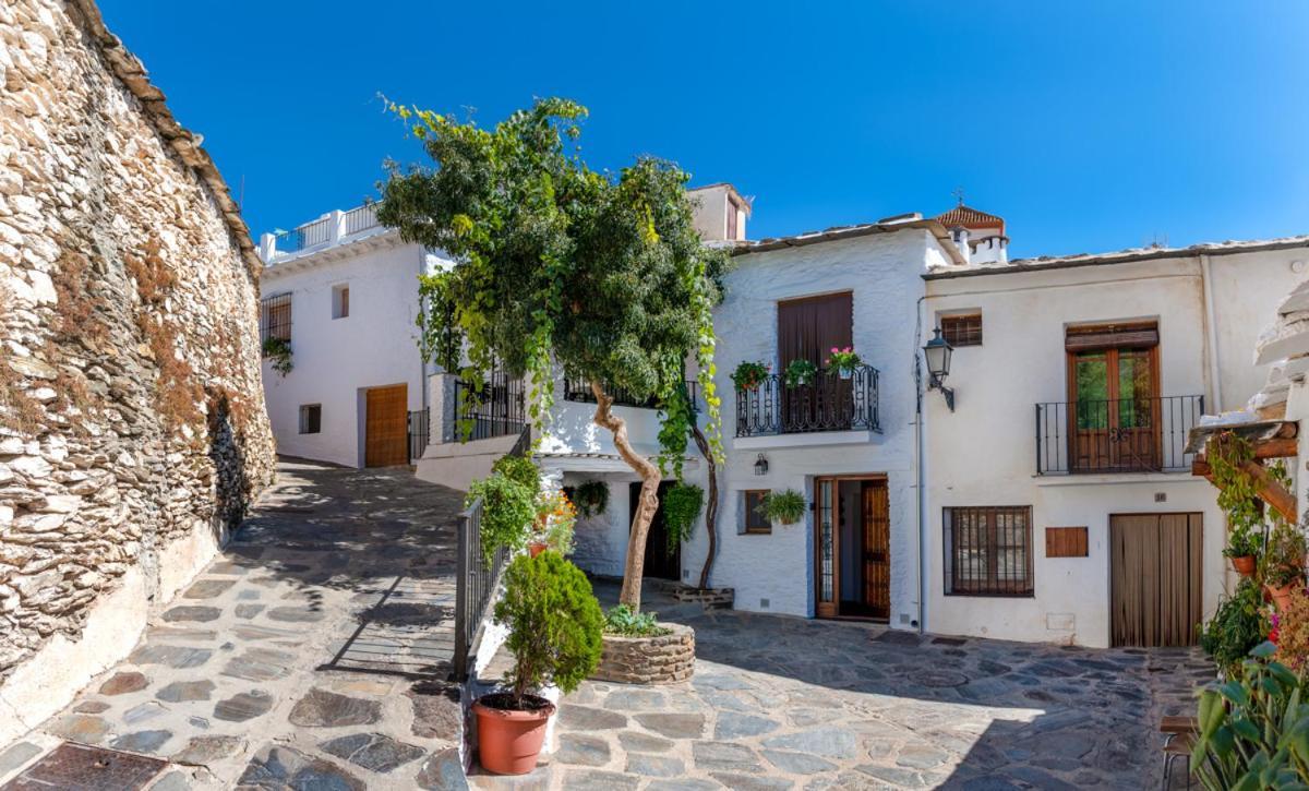 Ferienwohnung Casa Antonia Capileira La Alpujarra Exterior foto