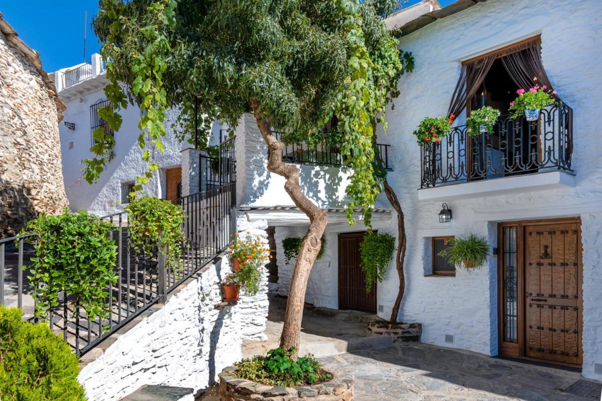 Ferienwohnung Casa Antonia Capileira La Alpujarra Exterior foto
